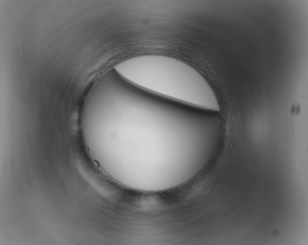 X0000110670262200906121109