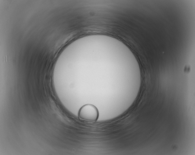 X0000110670264200906121109