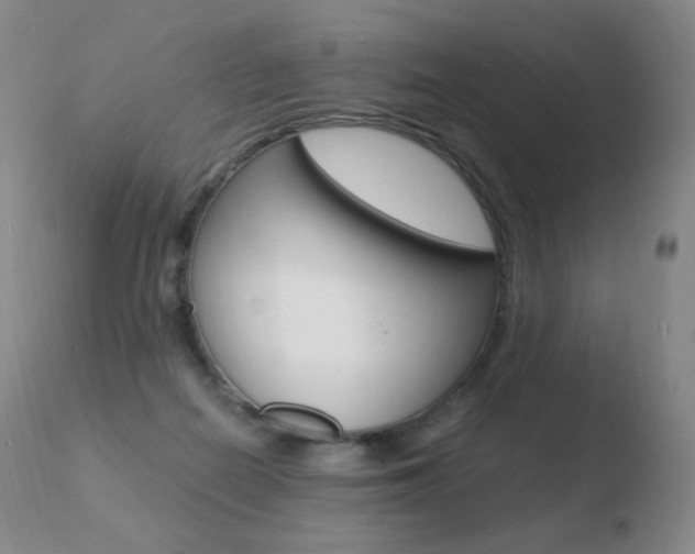 X0000110670266200906121109