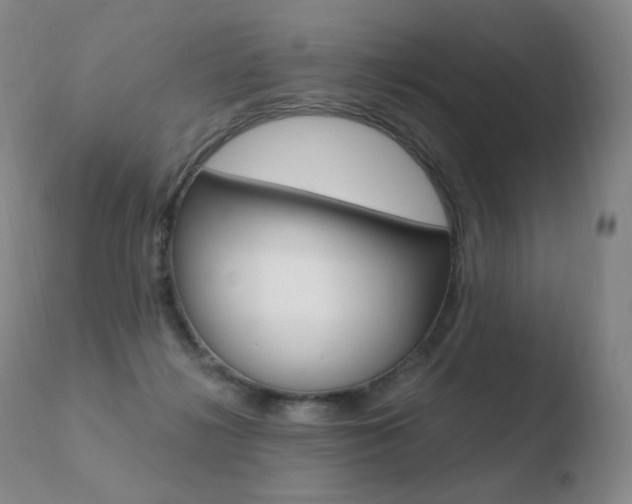 X0000110670268200906121109