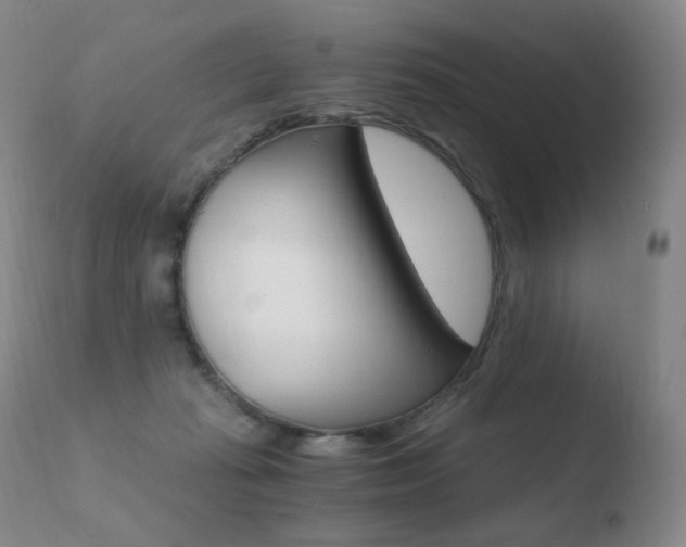 X0000110670269200906121109