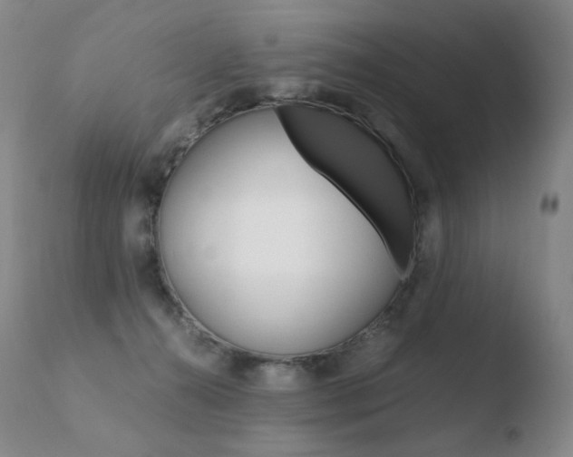 X0000110670272200906121109