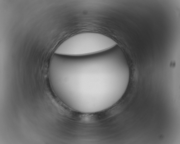 X0000110670273200906121109