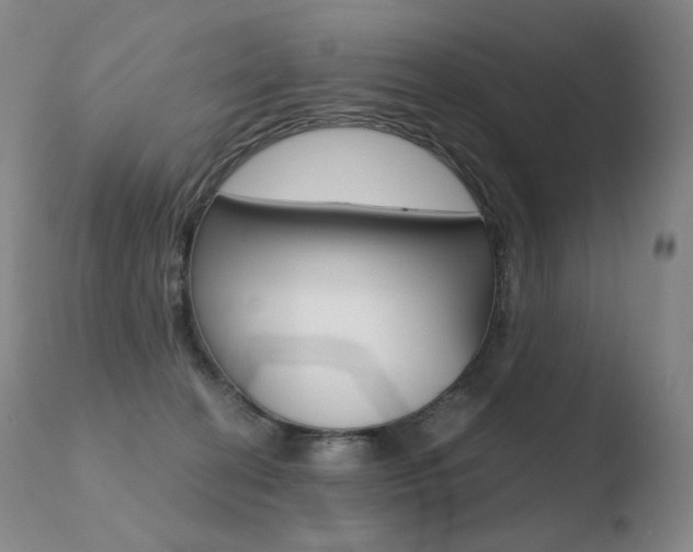 X0000110670274200906121109
