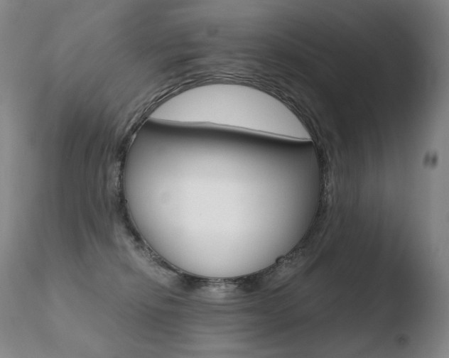 X0000110670278200906121109