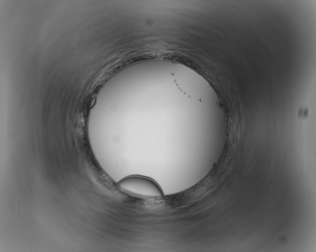 X0000110670279200906121109
