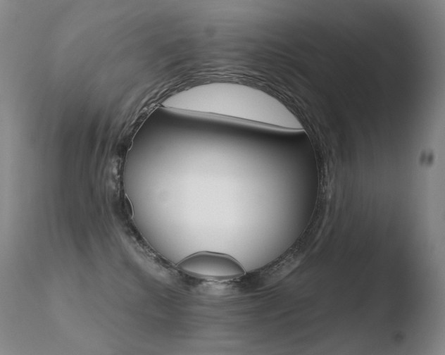 X0000110670280200906121109