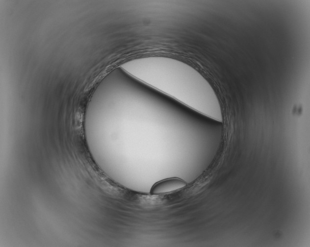X0000110670281200906121109