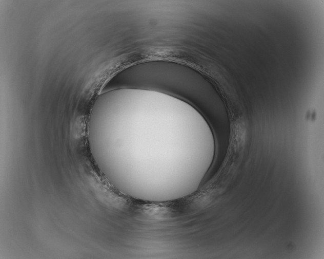X0000110670284200906121109