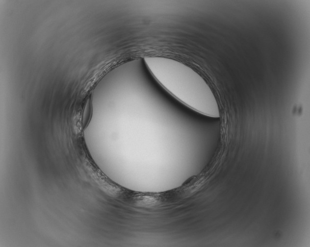 X0000110670285200906121109