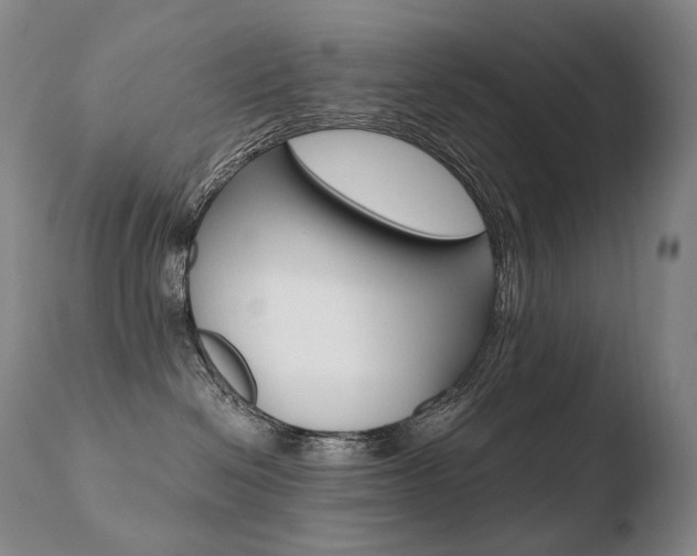 X0000110670286200906121109