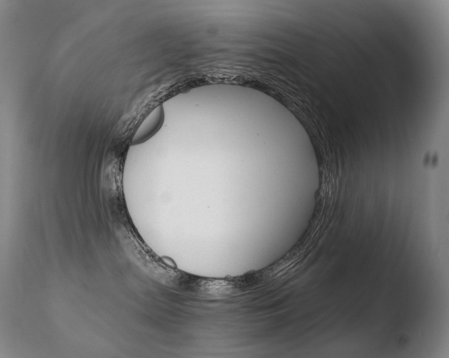 X0000110670287200906121109