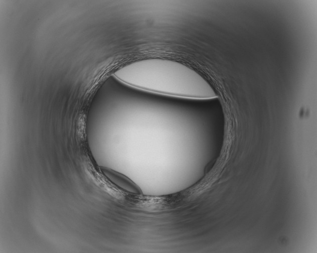 X0000110670288200906121109
