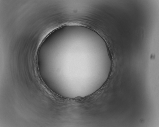 X0000110670289200906121109