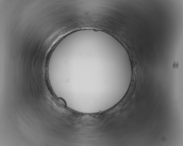 X0000110670290200906121109