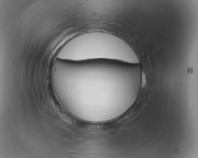 X0000110670291200906121109