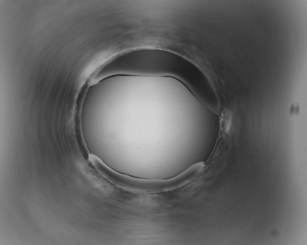X0000110670292200906121109