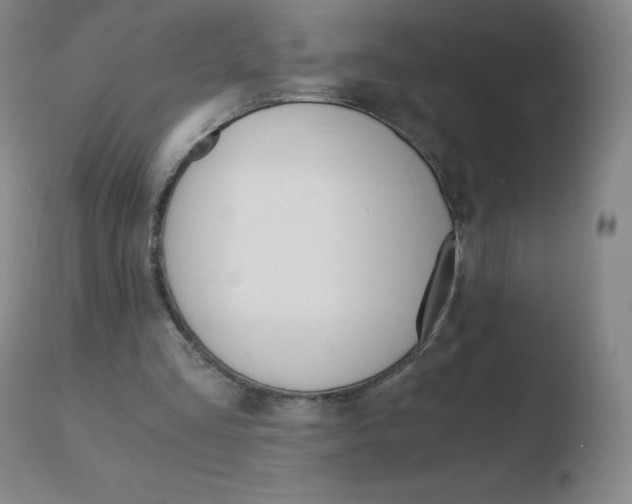 X0000110670293200906121109