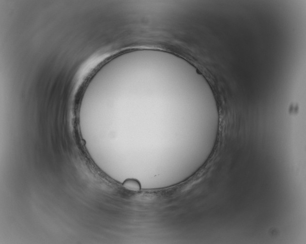 X0000110670294200906121109