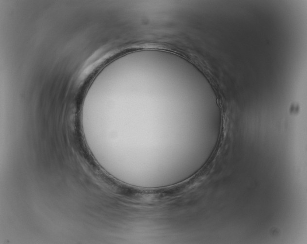 X0000110670295200906121109