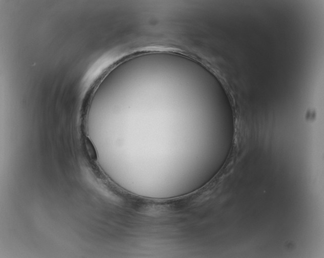 X0000110670296200906121109