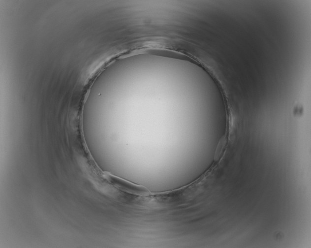 X0000110670297200906121108