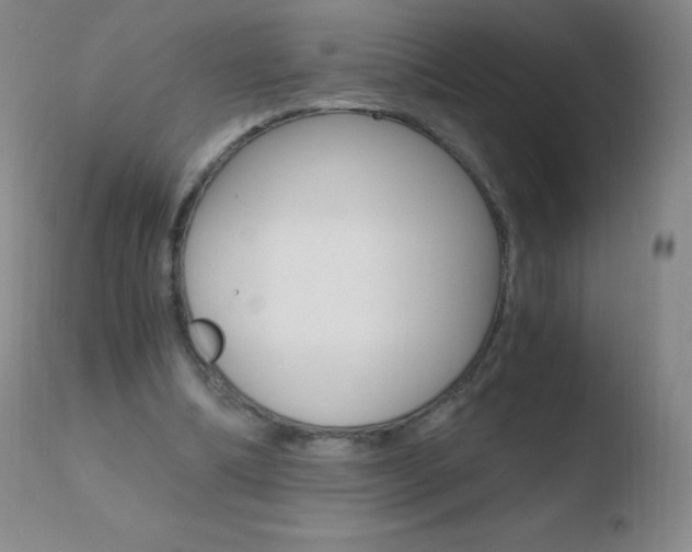 X0000110670298200906121108
