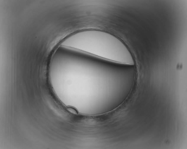 X0000110670299200906121108
