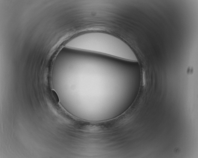 X0000110670300200906121108