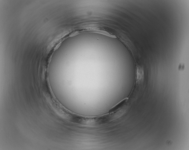 X0000110670301200906121108