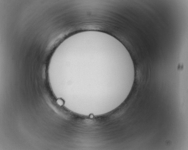 X0000110670302200906121108