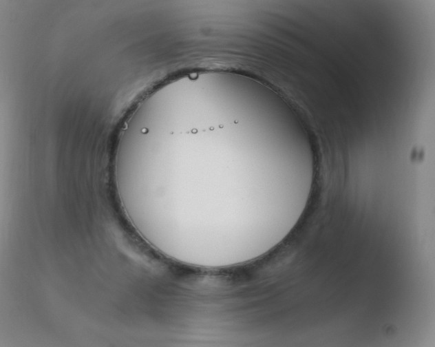 X0000110670303200906121108