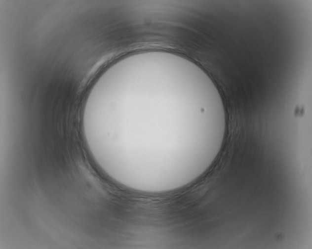 X0000110670304200906121108