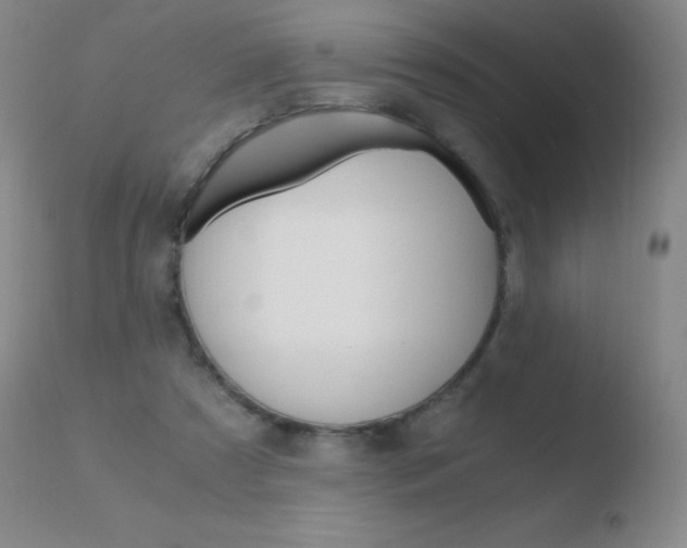 X0000110670305200906121108