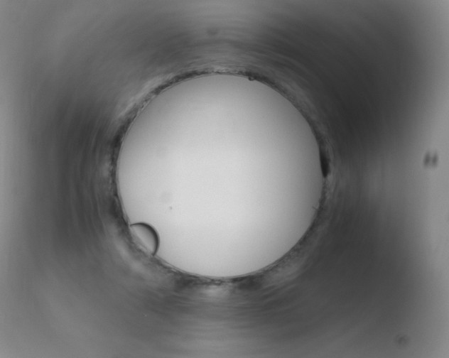 X0000110670306200906121108