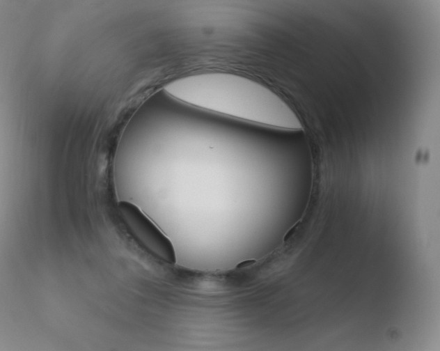 X0000110670308200906121108