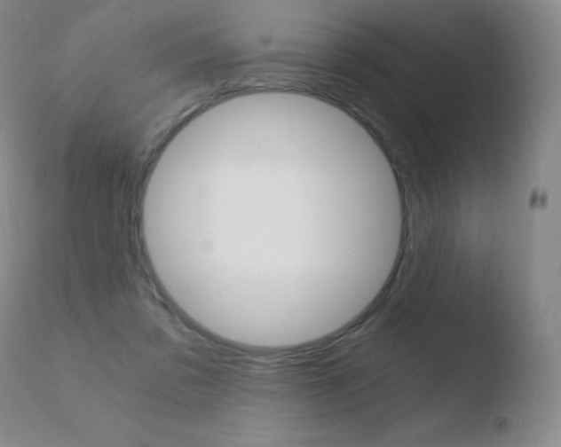 X0000110670309200906121108