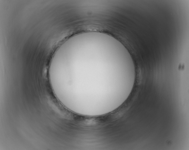 X0000110670310200906121108