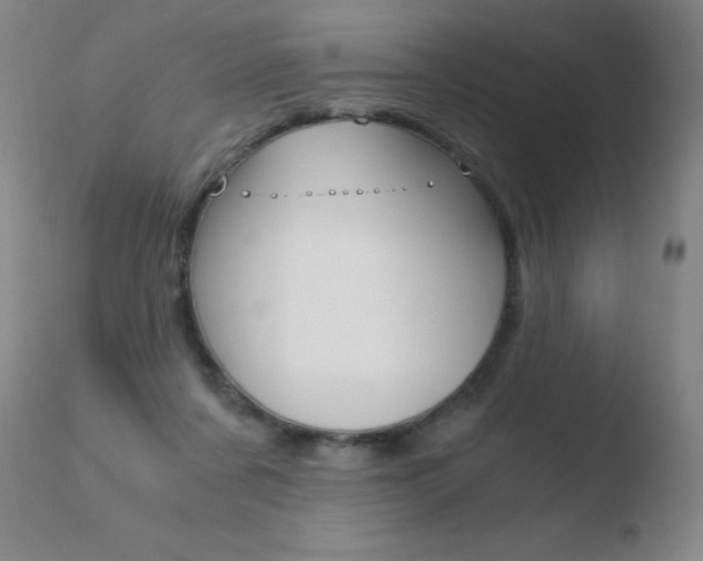 X0000110670311200906121108