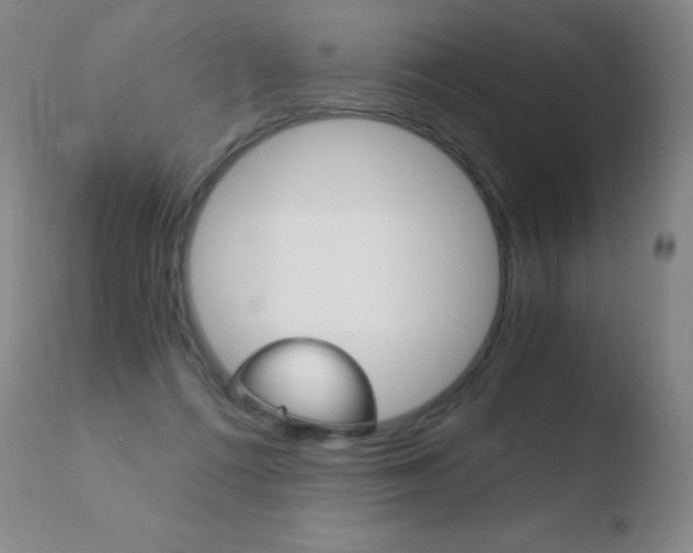 X0000110670312200906121108