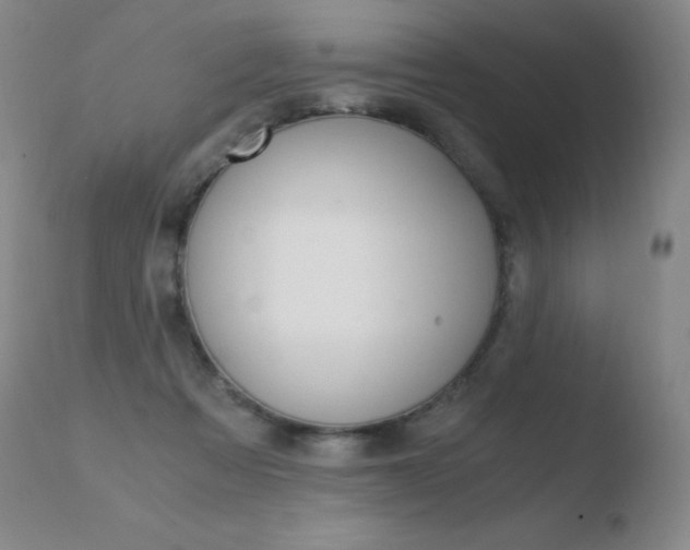 X0000110670313200906121108