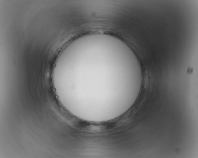 X0000110670314200906121108