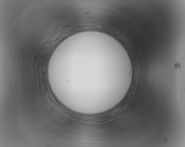 X0000110670317200906121108