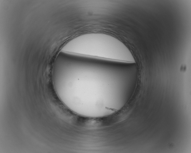 X0000110670319200906121108