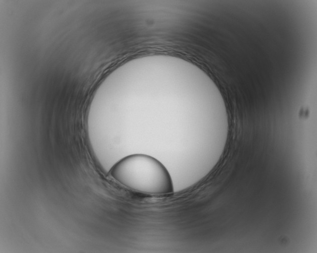 X0000110670320200906121108