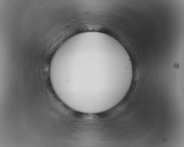 X0000110670321200906121108