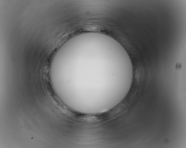 X0000110670322200906121108