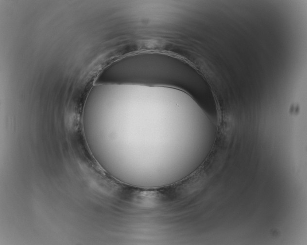X0000110670324200906121108