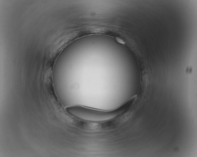 X0000110670325200906121108