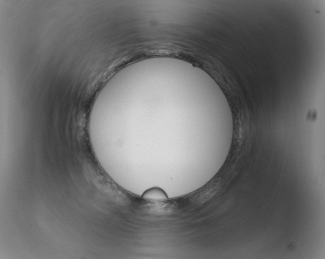 X0000110670326200906121108